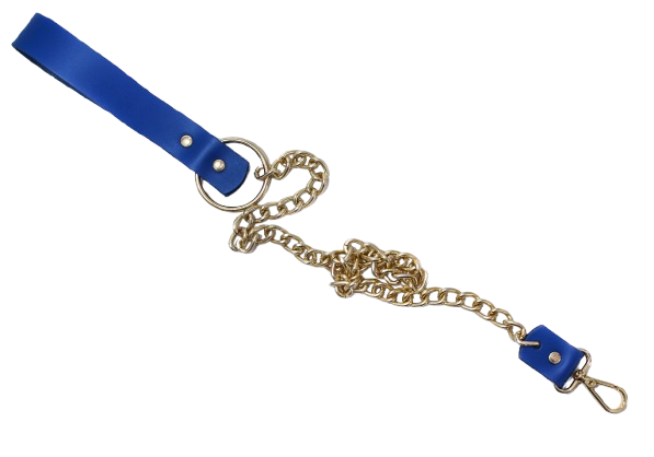 Coleira azul de couro com detalhes dourados